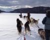 Ottawa apologizes to Nunavik Inuit for “massive” slaughter of sled dogs