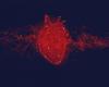 The human heart may have a hidden ability to repair itself