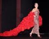 Sharon Stone draped herself in 3,000 red flowers to receive an award in Turin