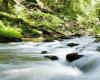 “Regards sur la Nature en Centre-Val de Loire”: a beautiful book discovery of our natural environments