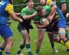 Rugby, Federal 2: the Vernois continue in Dordogne