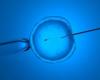 “In 150 years, humanity will almost only reproduce using IVF, that’s for sure”