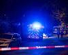 Intervention in Geneva: Major police operation in Grange-Canal