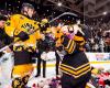 Victoriaville Tigers | The return of PO Roy and a difficult to digest doggie match