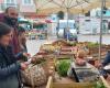 Fall in margins, increase in prices of supplies, producers at the Foix market also impacted by the agricultural crisis