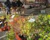 The Sainte-Catherine fair is still a hit in Auch with the Foyers rural du Gers