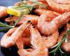 Less madness at the coast? North Sea prawn prices could reach record highs