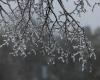 Freezing rain expected Tuesday in certain regions of Quebec