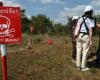 Arms sale to Ukraine: UN denounces “renewed threat” of antipersonnel mines: News