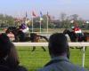 “A spectacular fall in the middle of the straight”, Spanish jockey Ioritz Mendizabal seriously injured during a horse race