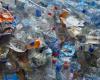 Waste sorting: the French are making progress on plastic, but remain far from the European objective: News