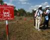 Arms sale to Ukraine: UN denounces “renewed threat” of anti-personnel mines