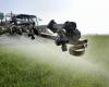 According to this group of experts, the use of pesticides is not decreasing in France