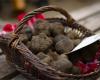 the famous Lot truffle market resumes on December 3