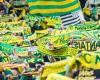 Ultras of FC Nantes, a procedure to dissolve the Loire Brigade under study