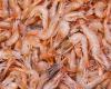 Recall of shrimp contaminated with “flesh-eating” bacteria and sold at Monoprix