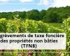 AGRICULTURE | Property tax relief for undeveloped properties (TFNB) – Press releases – Press room – Publications