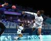 Euro 2024 handball. The complete program of the French women's team in the preliminary round