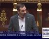 [Vidéo] Pensions: end of LFI's 'parliamentary niche', without vote on the proposed law to repeal the reform | LCP