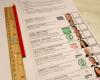 Legislative elections in Ireland: the counting of votes begins