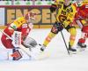 Hockey: Biel defeated by Bern in a closed match