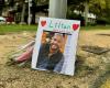 Murder of Lilian Dejean: “Abdoul Diallo recognizes his responsibility” assures one of his lawyers