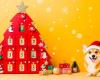 Try to win exceptional gifts with the Point de Vue Advent calendar