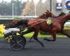 PMU – Arrival of the quinté on Sunday, December 1 at Paris-Vincennes: It's A Dollarmaker wins the GNT final