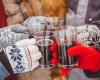 Radio Chablais – Massongex: Advent mulled wines will be served until Christmas