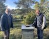 the Castries apiary school celebrates its 40th anniversary