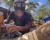 LONG FORMAT. Immersion on the East Coast to meet the sculptors of New Caledonia