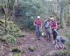 Three dogs stranded on a rock ledge during a hunting trip rescued by firefighters