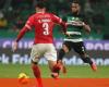 Sporting-Santa Clara: the duel in 5 facts – Liga Betclic