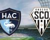 Le Havre – Angers: on which channel and at what time to watch the Ligue 1 match live?