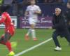 VIDEO. Montpellier-Lille: lunar sequence, when the Lille coach pursues an opposing player who had just shot him to fight it out