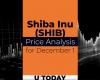 SHIB Price Prediction for December 1