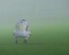 Amateur football – Regional and Coupe de France: a foggy and gloomy weekend for the clubs of Lot-et-Garonne