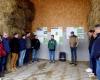 “We gain a maximum of 10°C”: near Cholet, the hay dryer runs on solar power. Sport