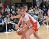 Amateur basketball – Women's national 3: the Auscitaines come close to the feat in the Landes against the Coteaux du Luy