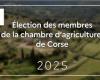 Elections of members of the Corsican Chamber of Agriculture – Elections – Democratic life – State actions