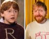 13 years later, Rupert Grint, the star of Harry Potter, was convicted by the courts