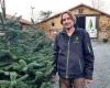 Le sapin de Vendée, a micro-industry that focuses on quality and ultra-proximity