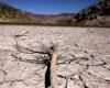 COP16 on desertification opens in Riyadh for a “decisive moment”, according to the UN – rts.ch