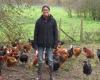 poultry reconfined but open-air breeders resist in Deux-Sèvres