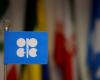 OPEC oil production rises in November due to recovery in Libya, survey shows