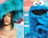 Rihanna Gets Called Out by Fans For Looking Like the Cookie Monster