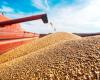 Cereals: Russia plans to supply Morocco with one million tonnes of wheat