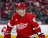 Red Wings: Kane placed on injured reserve