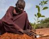 At least USD 2.6 trillion by 2030 to combat land degradation