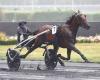 Saturday in Vincennes The best 4-year-olds on the track